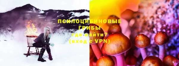 ГАЛЛЮЦИНОГЕННЫЕ ГРИБЫ Магас