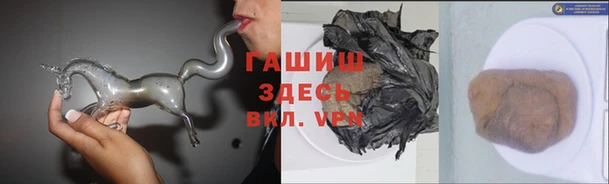 прущие грибы Абаза