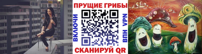 Галлюциногенные грибы GOLDEN TEACHER купить наркотики сайты Верхоянск